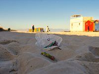 See: Zolani Mahola leads a beach clean-up at Muizenberg