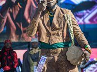 Country Allure steals the spotlight at Hollywoodbets Durban July