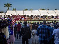 Country Allure steals the spotlight at Hollywoodbets Durban July